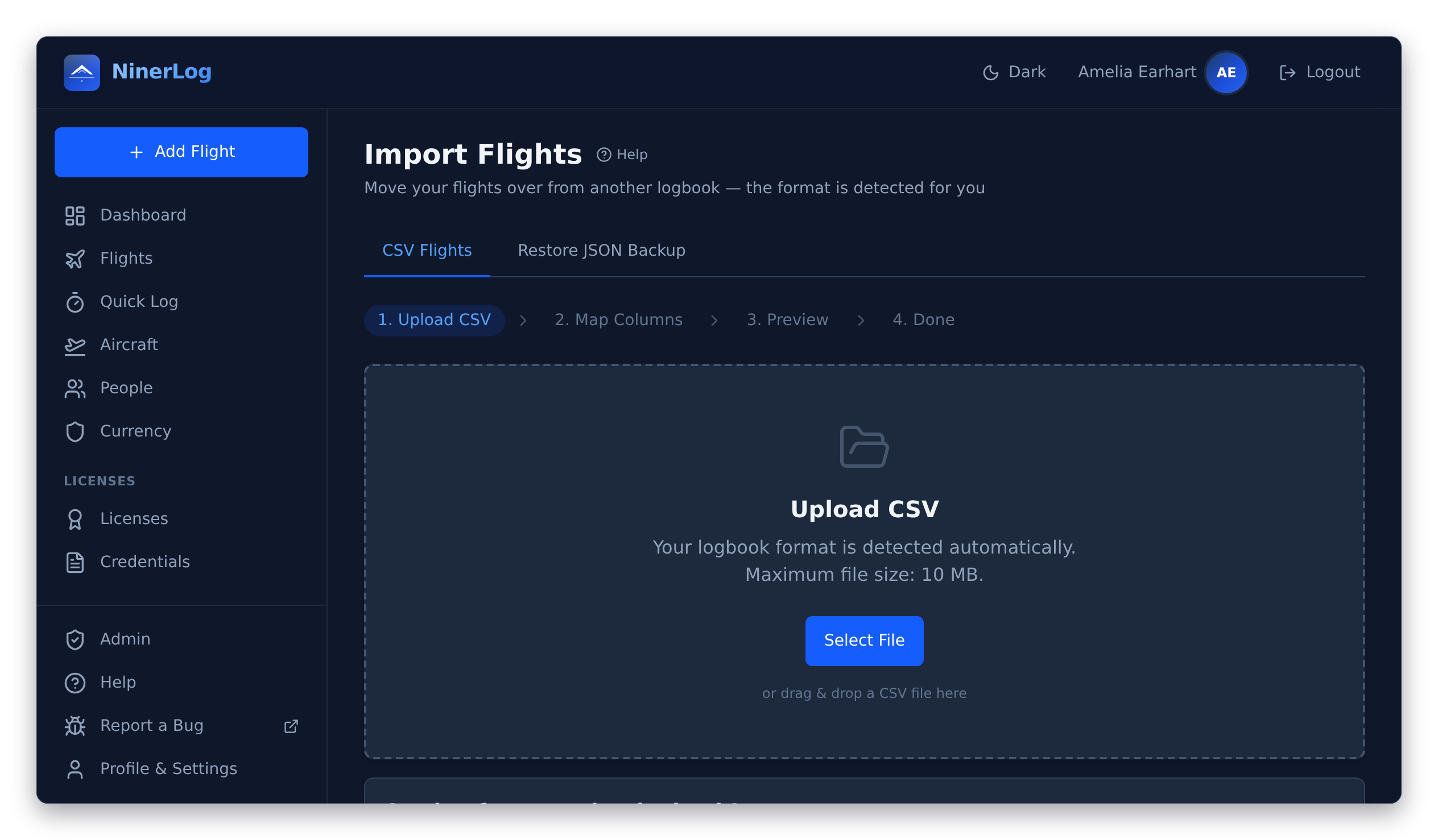 NinerLog import interface reading a logbook export and mapping its columns automatically